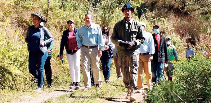 medio ambiente arrecia ofensiva contra mafia de las dunas